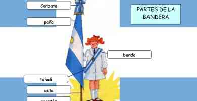 Partes de la bandera