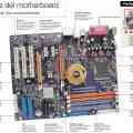 Partes de la board