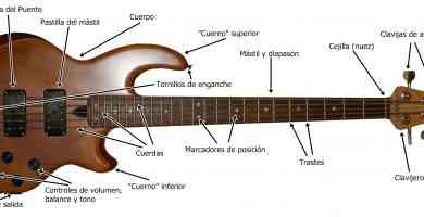 Partes del bajo